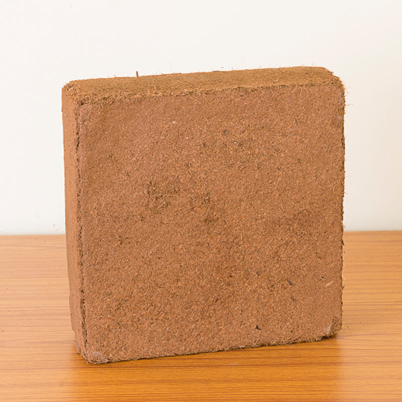 Coco Peat