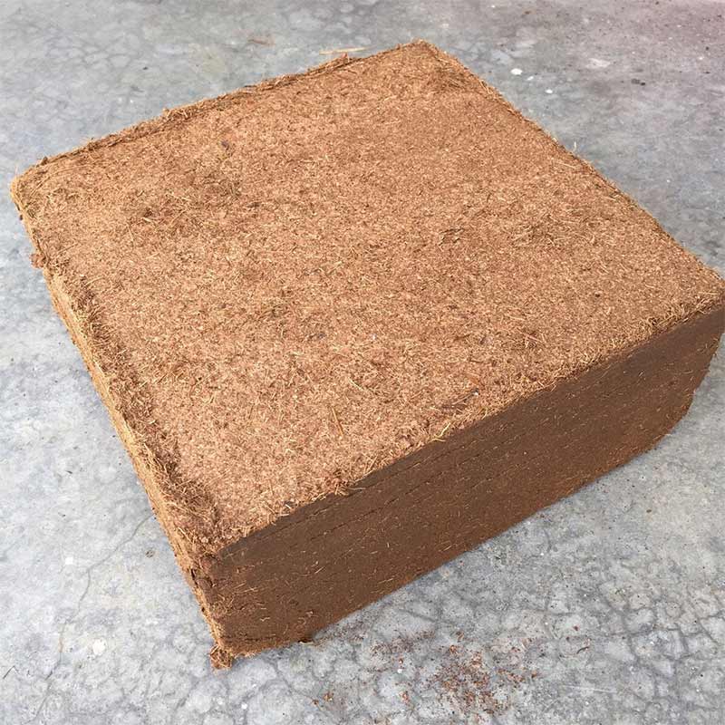 Coco Peat